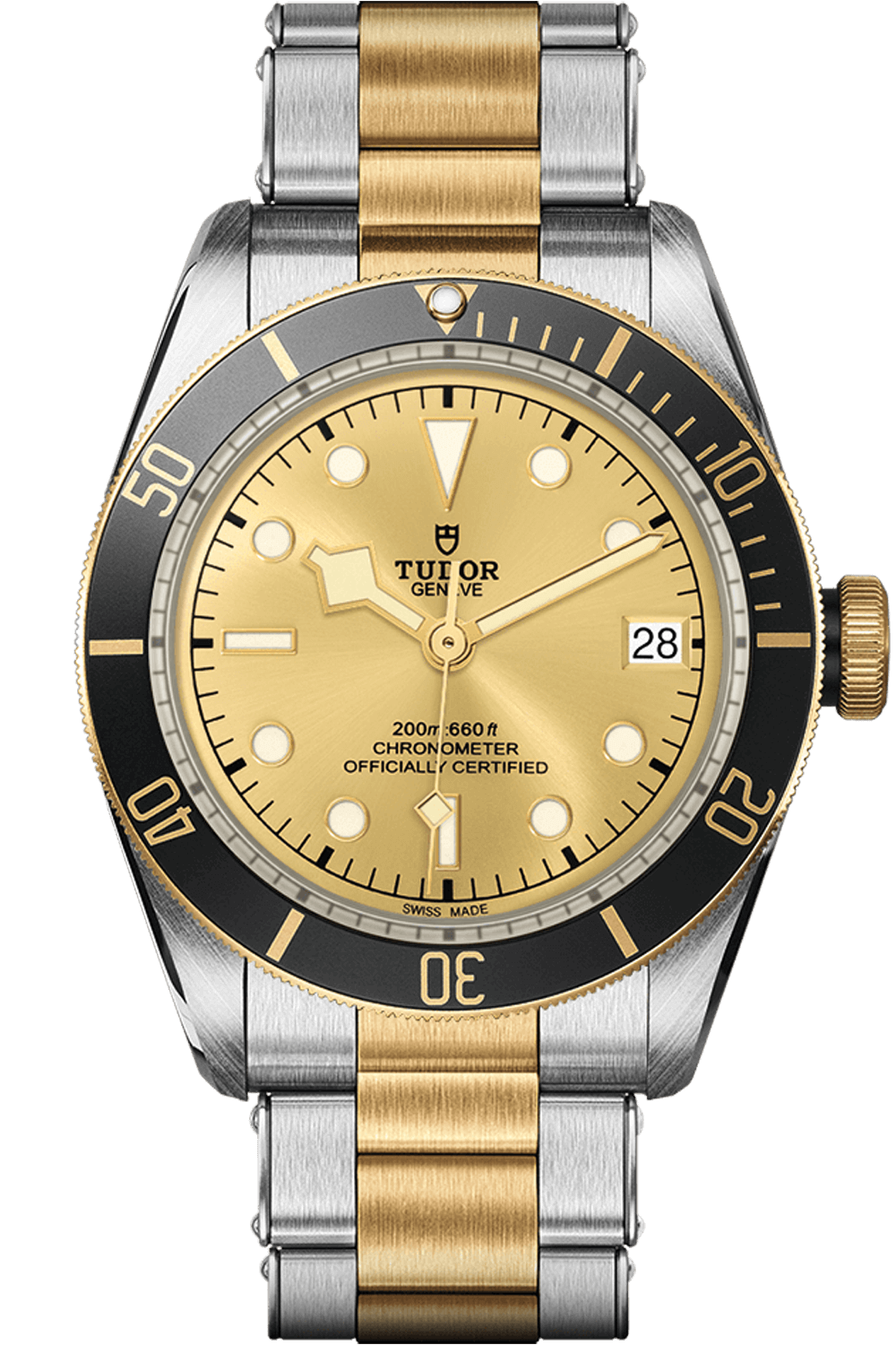 Tudor Black Bay S&G Ref - M79733N-0004