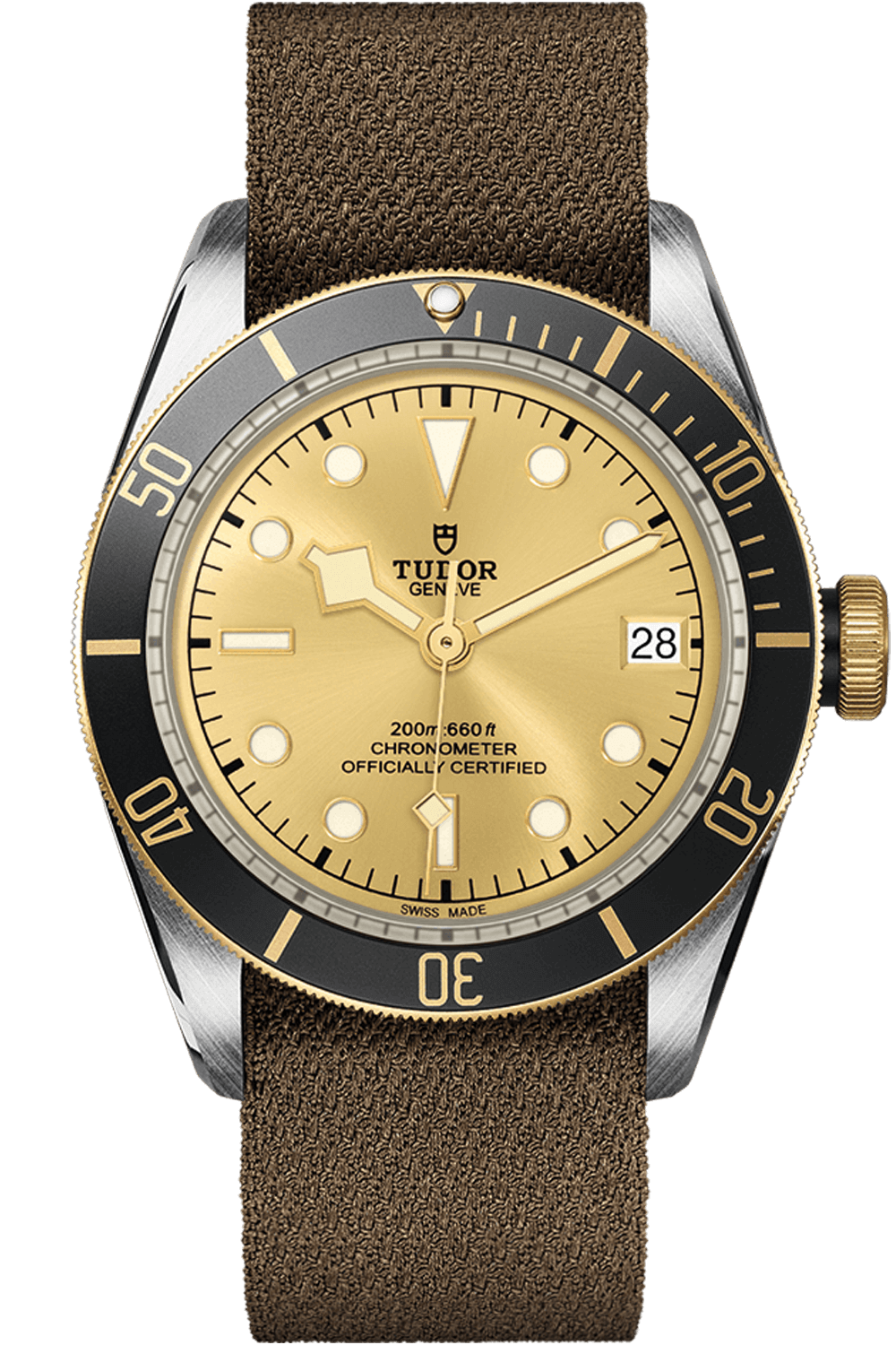 Tudor Black Bay S&G Ref - M79733N-0006