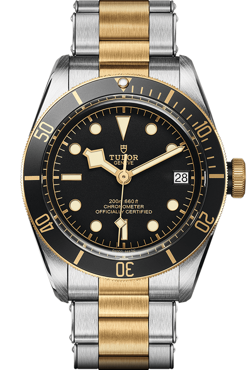 Tudor Black Bay S&G Ref - M79733N-0008