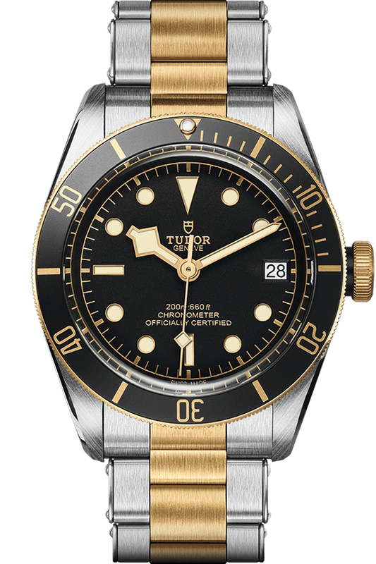 Tudor Black Bay S&G Ref - M79733N-0008